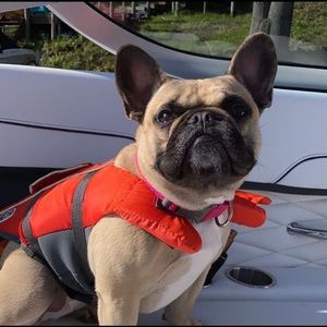 Meet your Posher, Jake